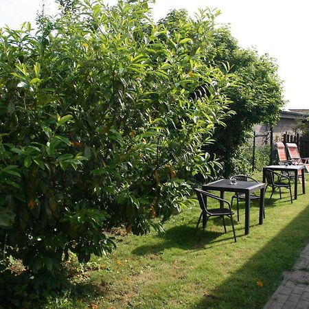 Ferienwohnungen Haus Mecklenburg 奥门豪斯特 外观 照片