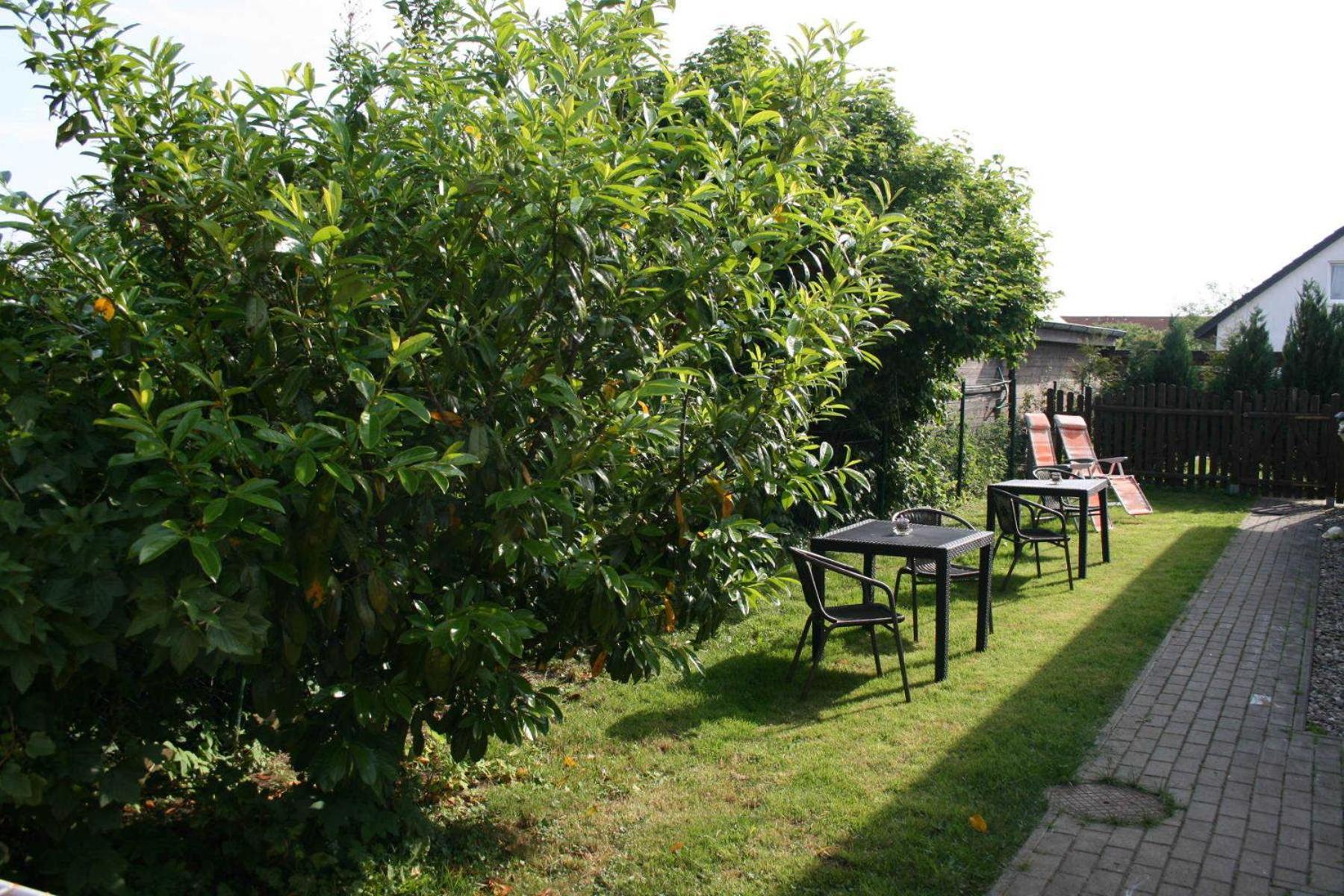 Ferienwohnungen Haus Mecklenburg 奥门豪斯特 外观 照片